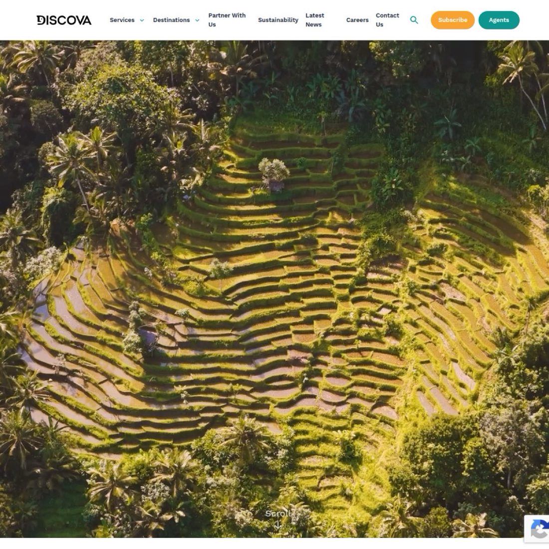 Discova — WordPress + Elementor project