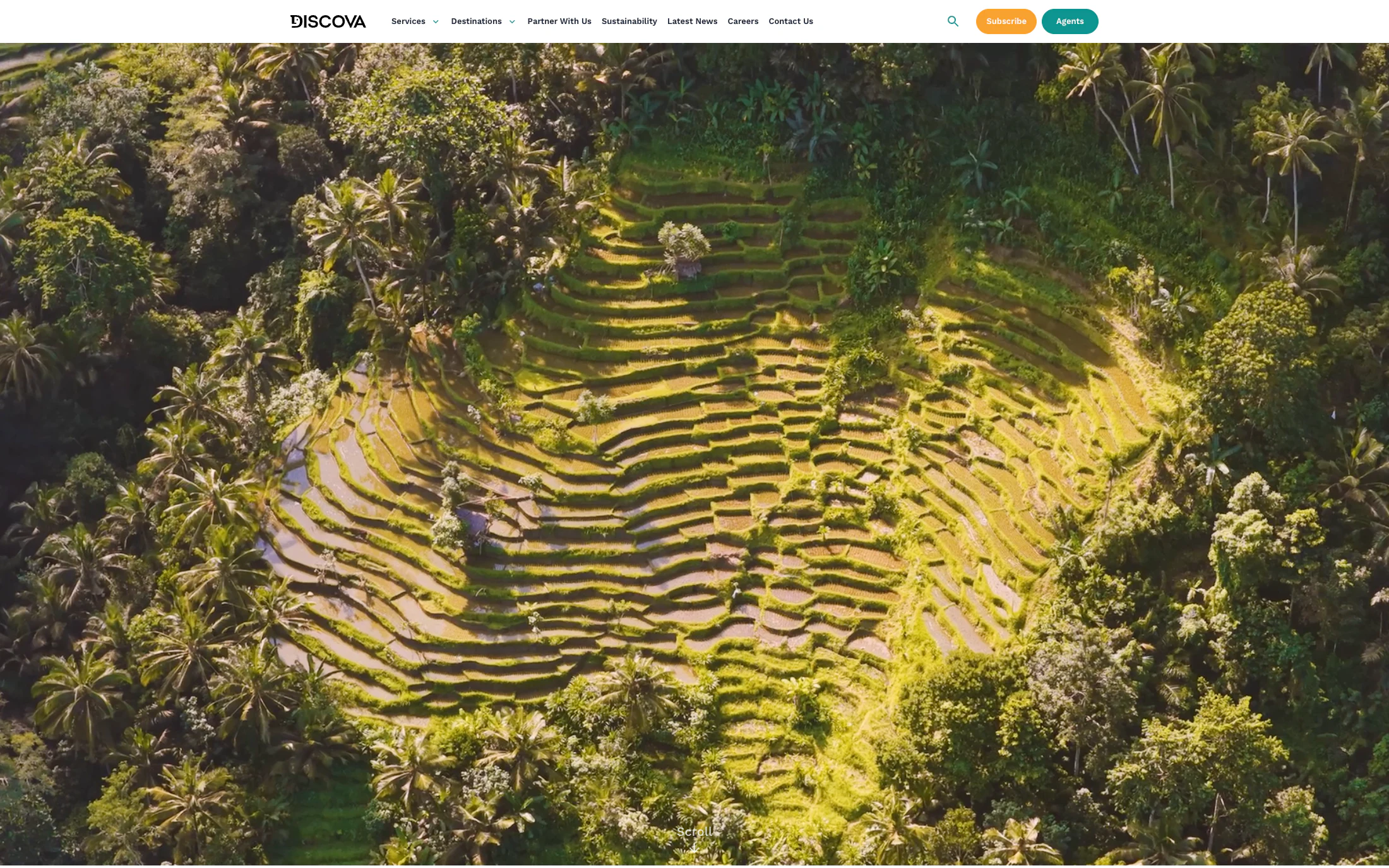 Discova travel marketplace homepage — built by Lofts Studio