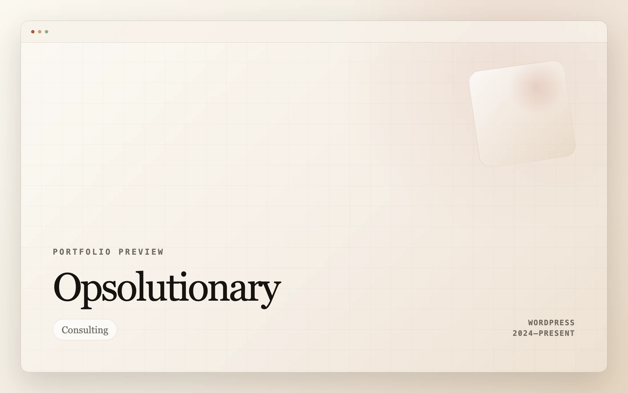 Opsolutionary homepage screenshot — WordPress project by Lofts Studio