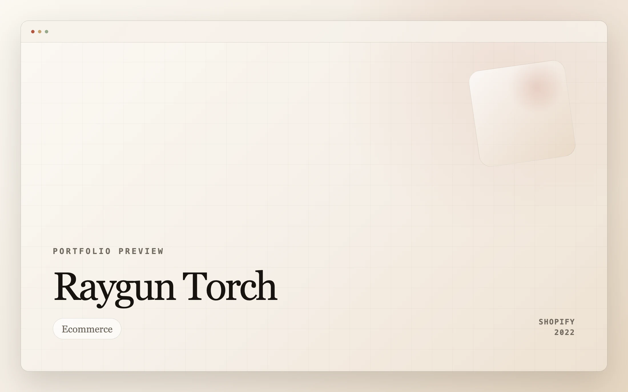 Raygun Torch homepage screenshot — Shopify project by Lofts Studio