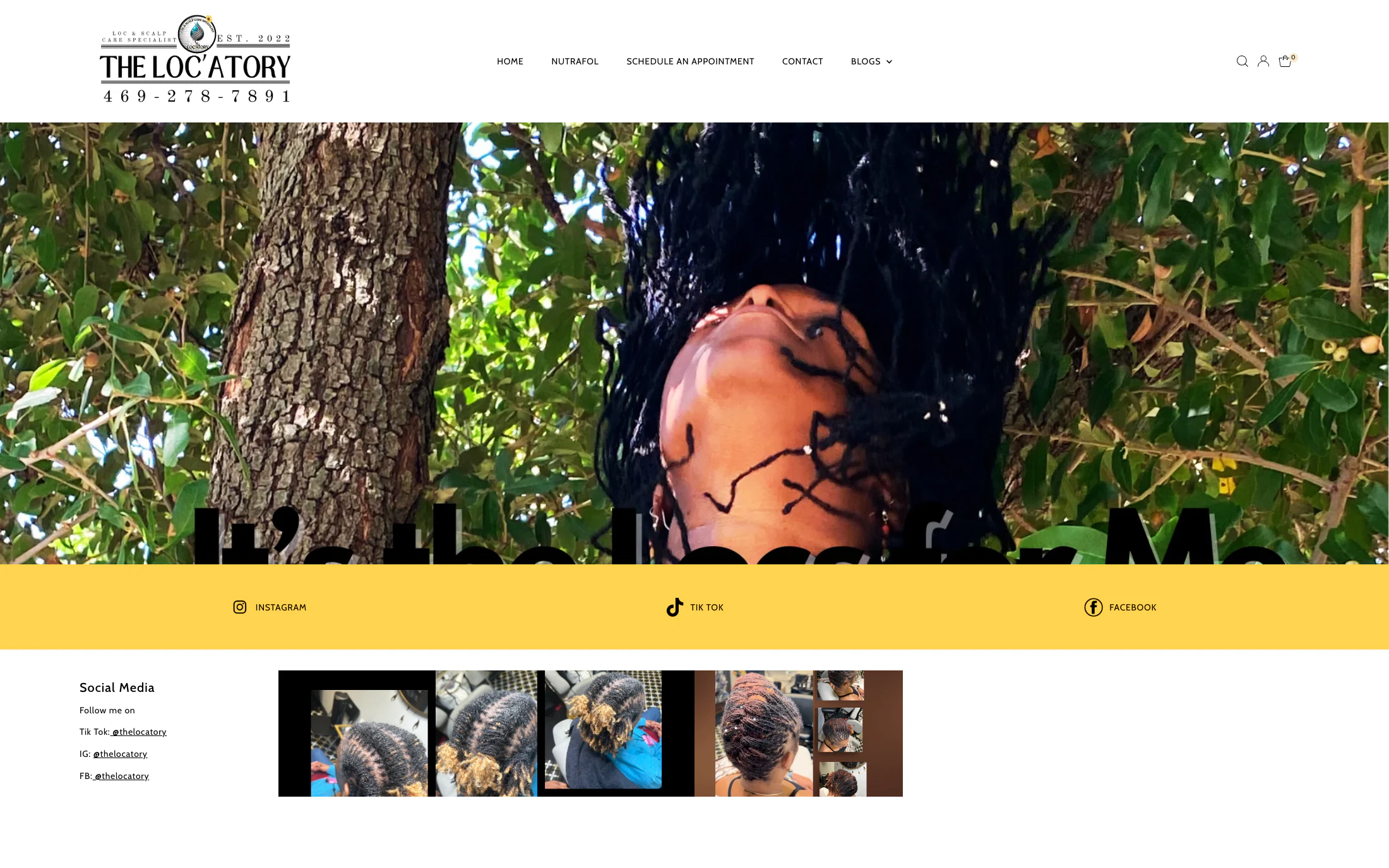 The Locatory homepage screenshot — WordPress project by Lofts Studio