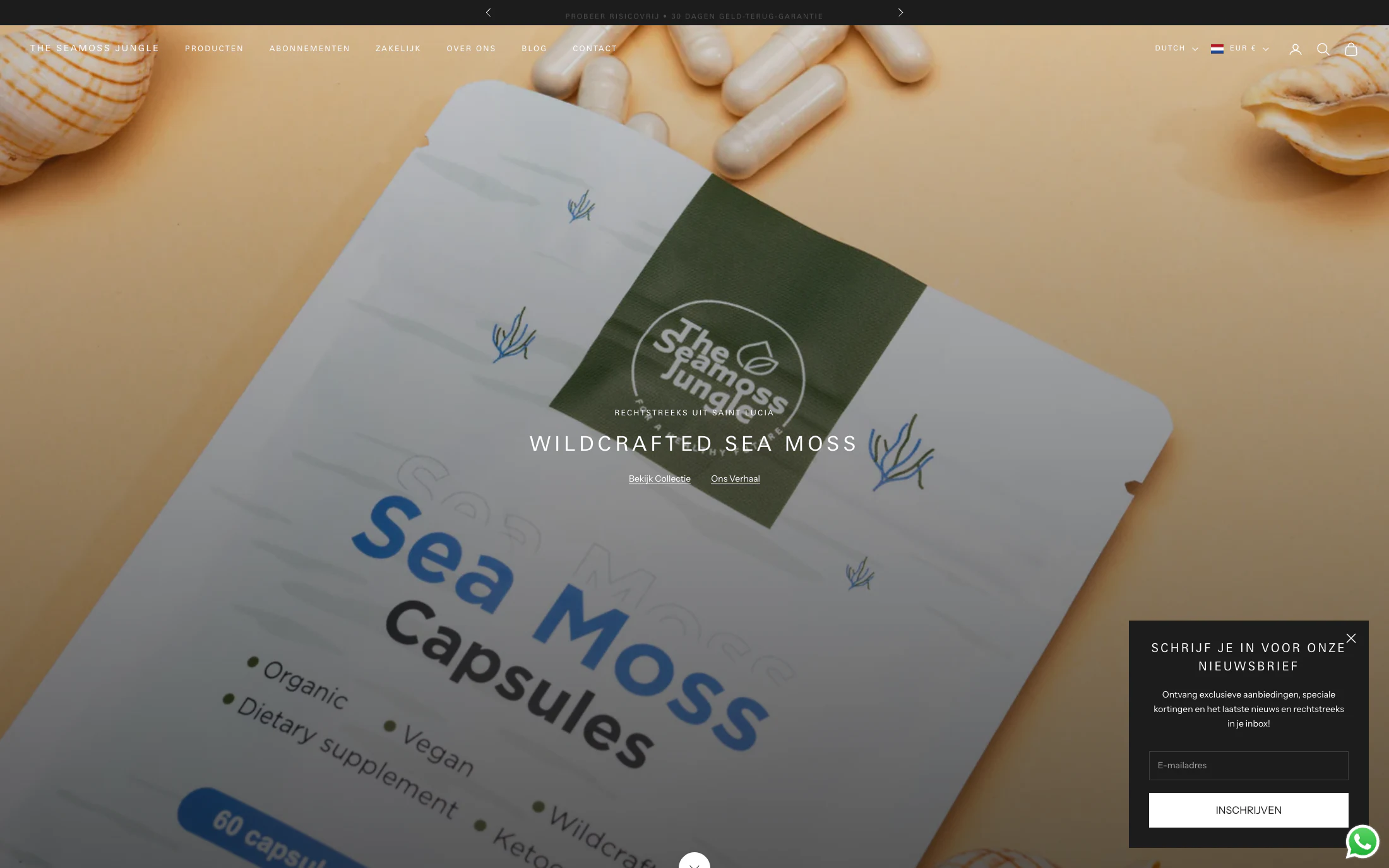 The Sea Moss Jungle homepage screenshot — Shopify project by Lofts Studio
